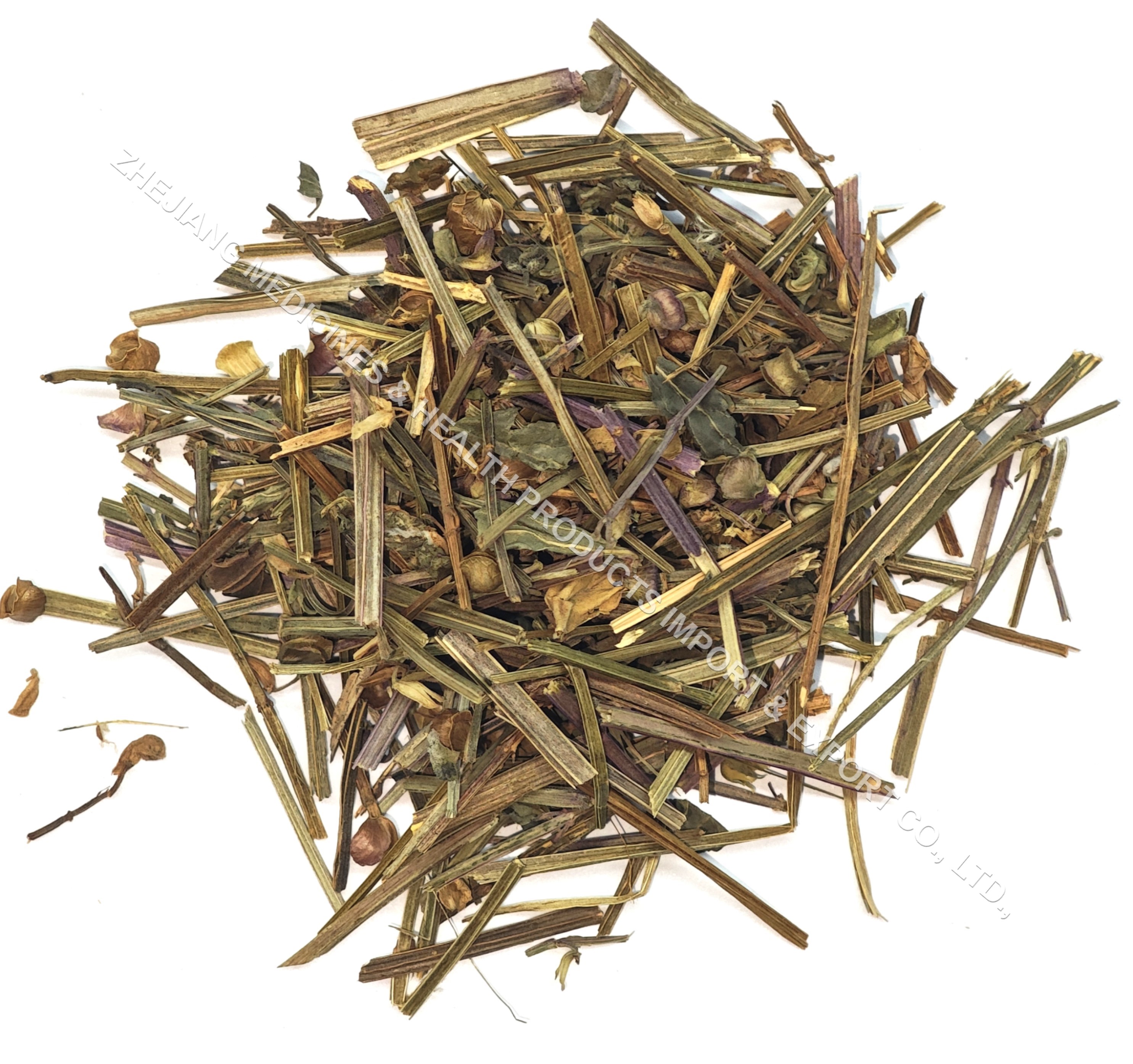 半枝蓮-Barbated-Skullcup Herb.jpg