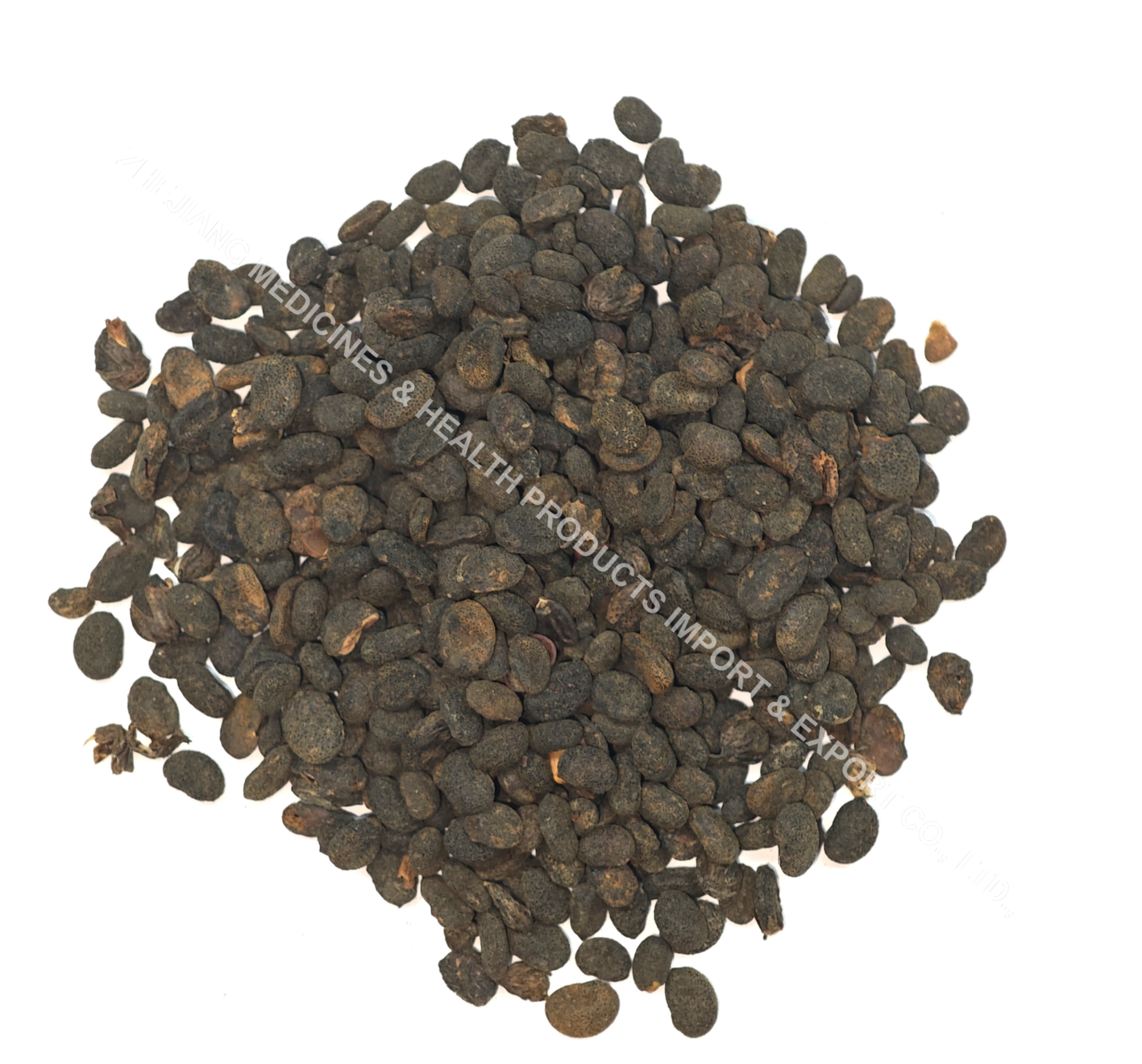 補(bǔ)骨脂-Malaytea Scurfpea Fruit.jpg