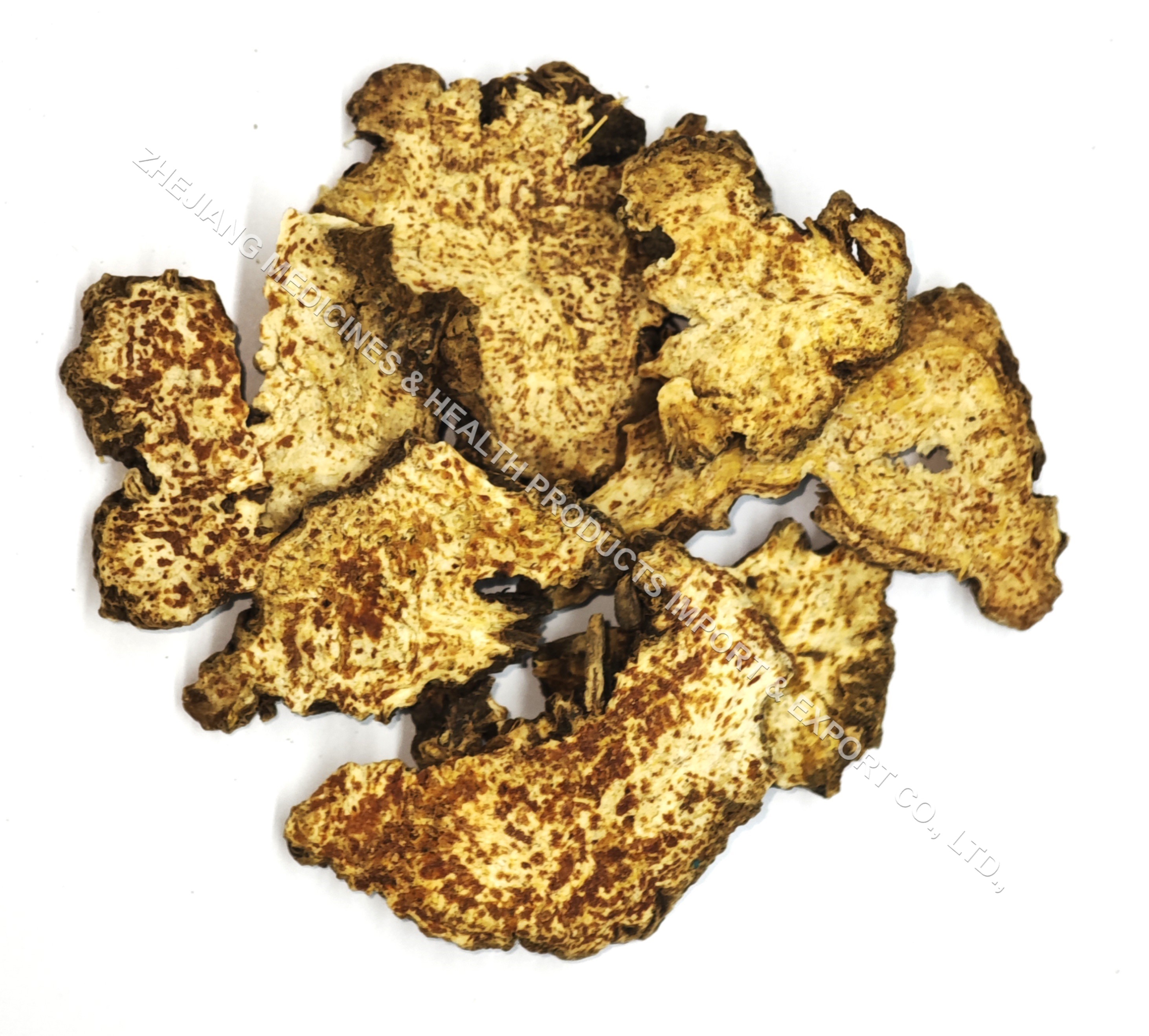 蒼術(shù)-Atractylodis Rhizoma.jpg