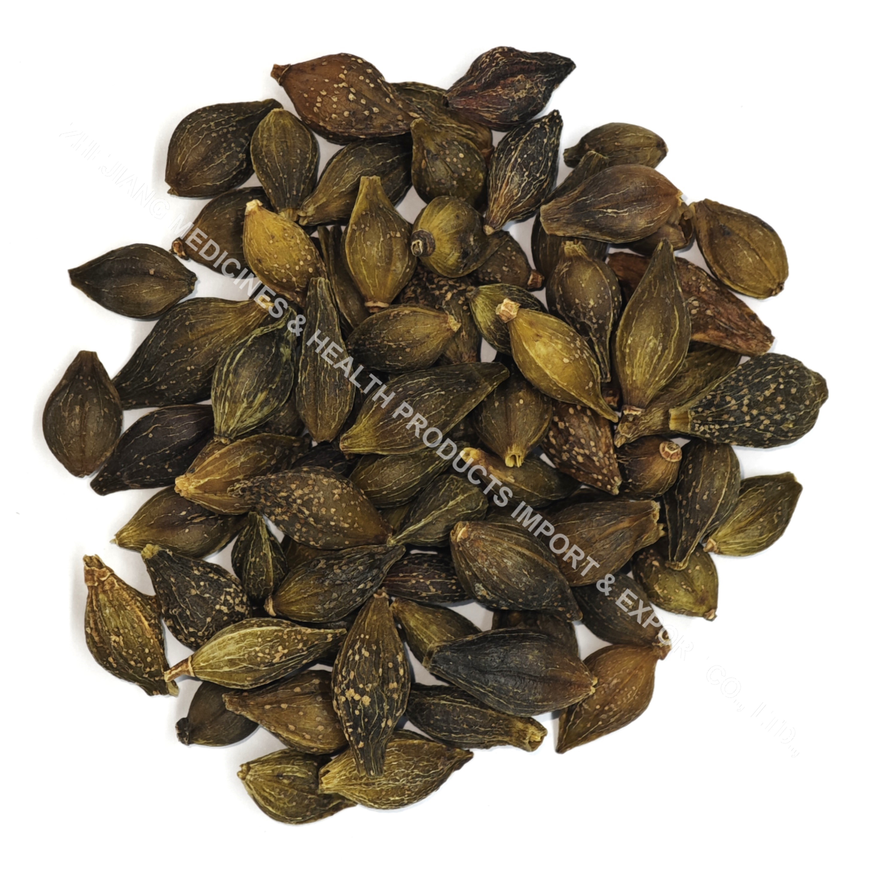 青翹-Weeping Forsythia Fruit.jpg