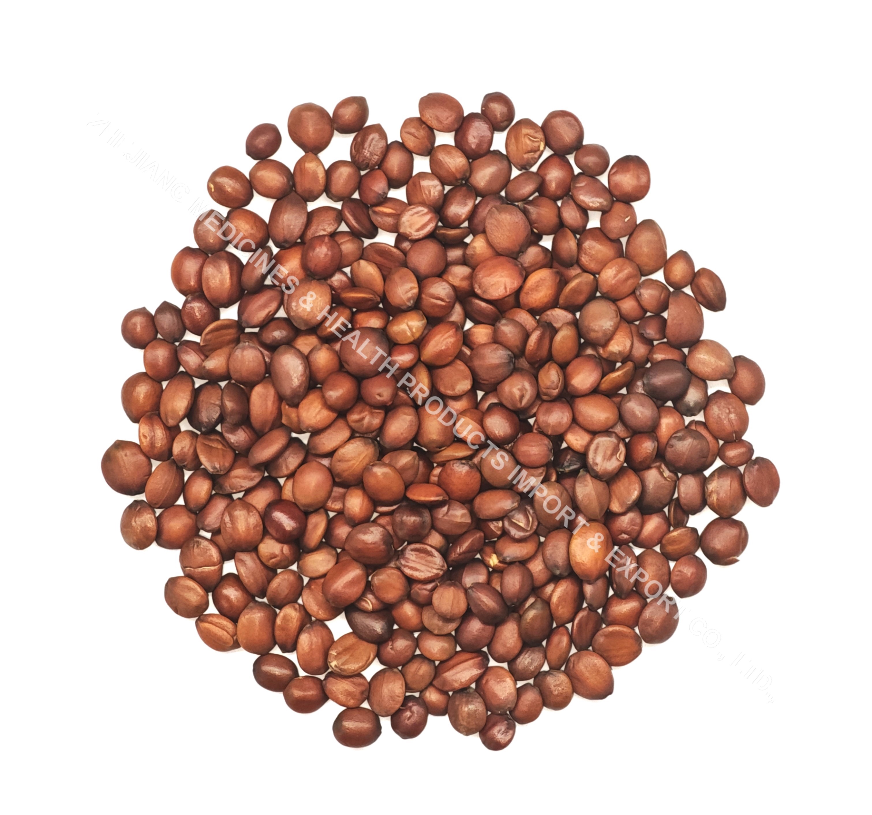 酸棗仁-Spine Date Seed.jpg