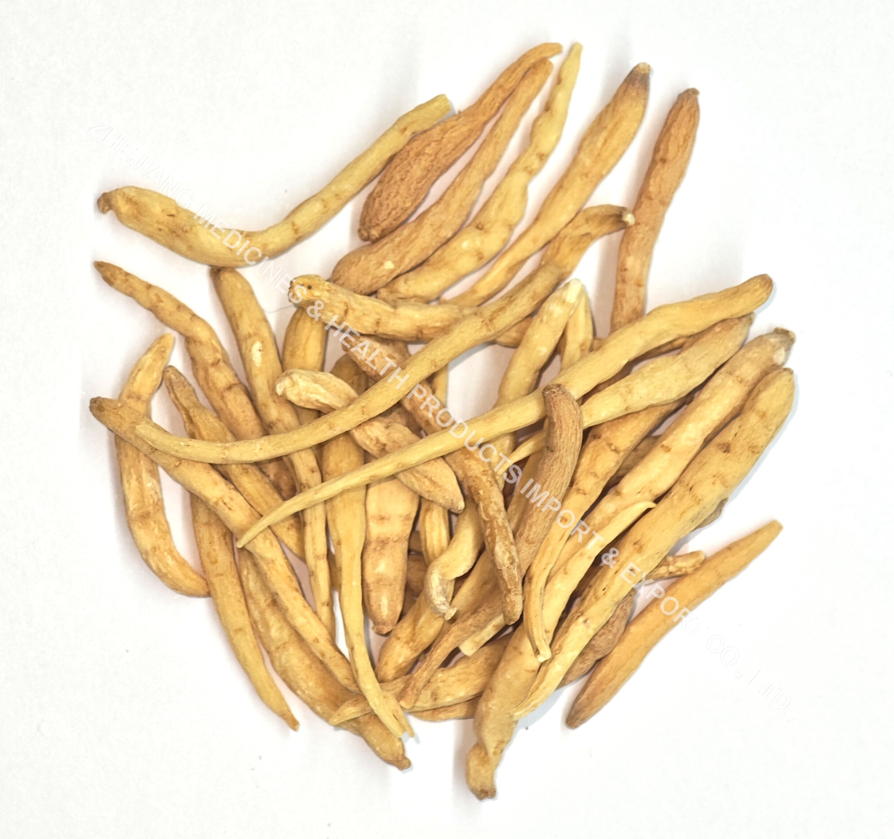 太子參-Heterophylly Falsestarwort Root.jpg